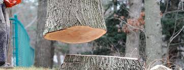 Best Tree Risk Assessment  in Aberdeen, ID